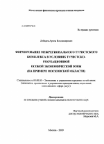 Формирование межрегионального туристского комплекса в условиях туристско-рекреационной особой экономической зоны - тема диссертации по экономике, скачайте бесплатно в экономической библиотеке
