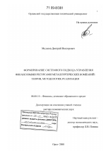 Формирование системного подхода управления финансовыми ресурсами металлургических компаний: теория, методология, реализация - тема диссертации по экономике, скачайте бесплатно в экономической библиотеке