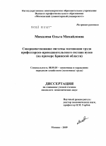 Совершенствование системы мотивации труда профессорско-преподавательского состава вузов - тема диссертации по экономике, скачайте бесплатно в экономической библиотеке