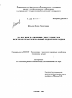 Малые инновационные структуры вузов в системе профессиональной подготовки кадров - тема диссертации по экономике, скачайте бесплатно в экономической библиотеке