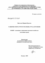 Развитие инфраструктуры рынка труда в регионе - тема диссертации по экономике, скачайте бесплатно в экономической библиотеке