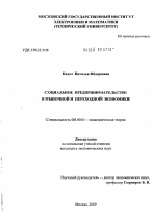 Социальное предпринимательство в рыночной и переходной экономике - тема диссертации по экономике, скачайте бесплатно в экономической библиотеке