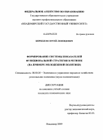 Формирование системы показателей функциональной стратегии в регионе - тема диссертации по экономике, скачайте бесплатно в экономической библиотеке