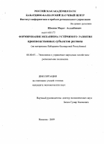 Формирование механизма устойчивого развития производственных субъектов региона - тема диссертации по экономике, скачайте бесплатно в экономической библиотеке