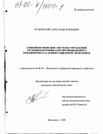 Совершенствование системы управления трудовым потенциалом промышленного предприятия в условиях рыночной экономики - тема диссертации по экономике, скачайте бесплатно в экономической библиотеке