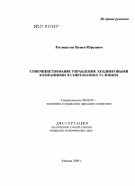 Совершенствование управления холдинговыми компаниями в современных условиях - тема диссертации по экономике, скачайте бесплатно в экономической библиотеке