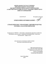 Стратегическое управление сферой культуры региона - тема диссертации по экономике, скачайте бесплатно в экономической библиотеке