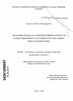 Управление процессом развития муниципалитетов на основе эффективного экономического механизма бизнес-планирования - тема диссертации по экономике, скачайте бесплатно в экономической библиотеке