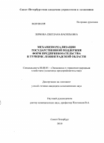 Механизм реализации государственной поддержки форм предпринимательства в туризме Ленинградской области - тема диссертации по экономике, скачайте бесплатно в экономической библиотеке