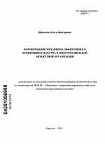 Формирование механизма эффективного предпринимательства в многопрофильной бюджетной организации - тема диссертации по экономике, скачайте бесплатно в экономической библиотеке