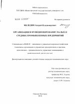 Организация и функционирование малых и средних промышленных предприятий - тема диссертации по экономике, скачайте бесплатно в экономической библиотеке