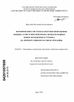 Формирование системы маркетинговой оценки имиджа туристских центров на международном рынке молодежного туризма - тема диссертации по экономике, скачайте бесплатно в экономической библиотеке