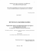 Управление процессами формирования кластеров в мезоуровневых системах - тема диссертации по экономике, скачайте бесплатно в экономической библиотеке