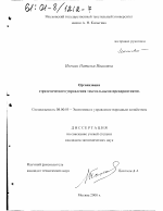 Организация стратегического управления текстильными предприятиями - тема диссертации по экономике, скачайте бесплатно в экономической библиотеке