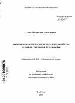 Экономическая безопасность домашних хозяйств в условиях транзитивной экономики - тема диссертации по экономике, скачайте бесплатно в экономической библиотеке