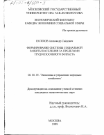 Формирование системы социальной защиты населения за пределами трудоспособного возраста - тема диссертации по экономике, скачайте бесплатно в экономической библиотеке