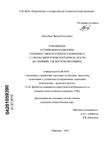 Управление устойчивым развитием топливно-энергетического комплекса с учетом энергетической безопасности - тема диссертации по экономике, скачайте бесплатно в экономической библиотеке