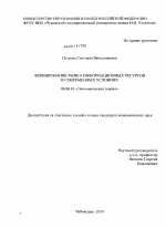 Формирование рынка информационных ресурсов в современных условиях - тема диссертации по экономике, скачайте бесплатно в экономической библиотеке