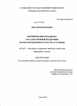Формирование механизма государственной поддержки малого предпринимательства в туризме - тема диссертации по экономике, скачайте бесплатно в экономической библиотеке
