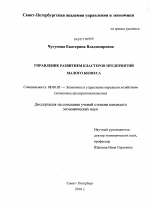 Управление развитием кластеров предприятий малого бизнеса - тема диссертации по экономике, скачайте бесплатно в экономической библиотеке