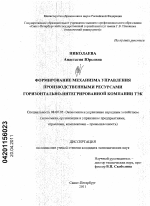 Формирование механизма управления производственными ресурсами горизонтально-интегрированной компании ТЭК - тема диссертации по экономике, скачайте бесплатно в экономической библиотеке