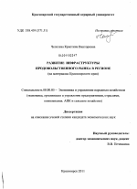 Развитие инфраструктуры продовольственного рынка в регионе - тема диссертации по экономике, скачайте бесплатно в экономической библиотеке