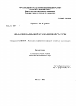 Управление реализацией организационной стратегии - тема диссертации по экономике, скачайте бесплатно в экономической библиотеке