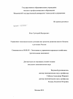 Управление инновационными рисками как средство развития малого бизнеса в регионах России - тема диссертации по экономике, скачайте бесплатно в экономической библиотеке