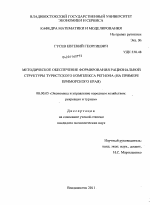 Методическое обеспечение формирования рациональной структуры туристского комплекса региона - тема диссертации по экономике, скачайте бесплатно в экономической библиотеке