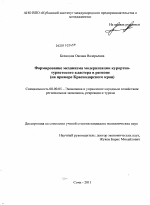 Формирование механизма модернизации курортно-туристского кластера в регионе - тема диссертации по экономике, скачайте бесплатно в экономической библиотеке
