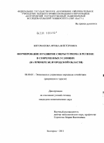 Формирование и развитие сферы туризма в регионе в современных условиях - тема диссертации по экономике, скачайте бесплатно в экономической библиотеке