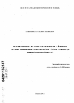 Формирование системы управления устойчивым сбалансированным развитием кластеров в регионе - тема диссертации по экономике, скачайте бесплатно в экономической библиотеке