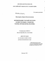 Формирование учетной системы хозяйствующих субъектов - тема диссертации по экономике, скачайте бесплатно в экономической библиотеке