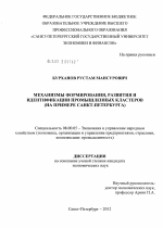 Механизмы формирования, развития и идентификации промышленных кластеров (на примере санкт-петербурга) - тема диссертации по экономике, скачайте бесплатно в экономической библиотеке