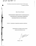 Формирование эффективного организационно-экономического механизма управления производственными комплексами - тема диссертации по экономике, скачайте бесплатно в экономической библиотеке