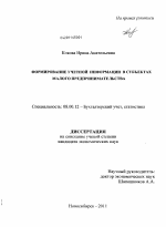 Формирование учетной информации в субъектах малого предпринимательства - тема диссертации по экономике, скачайте бесплатно в экономической библиотеке