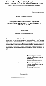 Методологические основы оценки и управления экономическими рисками в малом бизнесе - тема диссертации по экономике, скачайте бесплатно в экономической библиотеке