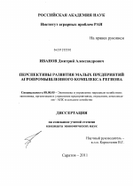 Перспективы развития малых предприятий агропромышленного комплекса региона - тема диссертации по экономике, скачайте бесплатно в экономической библиотеке