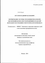 Формирование системы управления рисками при обеспечении безопасности предпринимательской деятельности в топливно-энергетическом комплексе - тема диссертации по экономике, скачайте бесплатно в экономической библиотеке