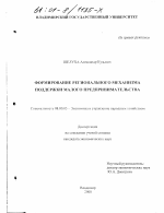 Формирование регионального механизма поддержки малого предпринимательства - тема диссертации по экономике, скачайте бесплатно в экономической библиотеке
