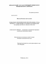 Социально-экономические фильтры рынка труда региона с убывающим трудовым потенциалом - тема диссертации по экономике, скачайте бесплатно в экономической библиотеке