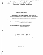 Экономическая эффективность производства кормов в условиях перехода к рыночной экономике - тема диссертации по экономике, скачайте бесплатно в экономической библиотеке