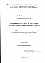 Функционирование аграрного лизинга и его адаптация к изменяющимся условиям экономики - тема диссертации по экономике, скачайте бесплатно в экономической библиотеке