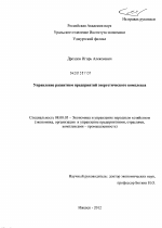 Управление развитием предприятий энергетического комплекса - тема диссертации по экономике, скачайте бесплатно в экономической библиотеке