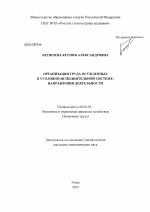 Организация труда осужденных в уголовно-исполнительной системе - тема диссертации по экономике, скачайте бесплатно в экономической библиотеке