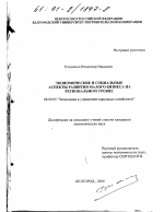 Экономические и социальные аспекты развития малого бизнеса на региональном уровне - тема диссертации по экономике, скачайте бесплатно в экономической библиотеке