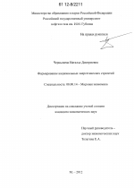 Формирование национальных энергетических стратегий - тема диссертации по экономике, скачайте бесплатно в экономической библиотеке