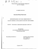 Формирование системы эффективного малого бизнеса в реальном секторе экономики - тема диссертации по экономике, скачайте бесплатно в экономической библиотеке