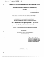 Совершенствование организации функционирования сферы бытового обслуживания населения в малых городах - тема диссертации по экономике, скачайте бесплатно в экономической библиотеке