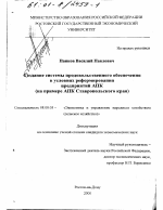 Создание системы продовольственного обеспечения в условиях реформирования предприятий АПК - тема диссертации по экономике, скачайте бесплатно в экономической библиотеке